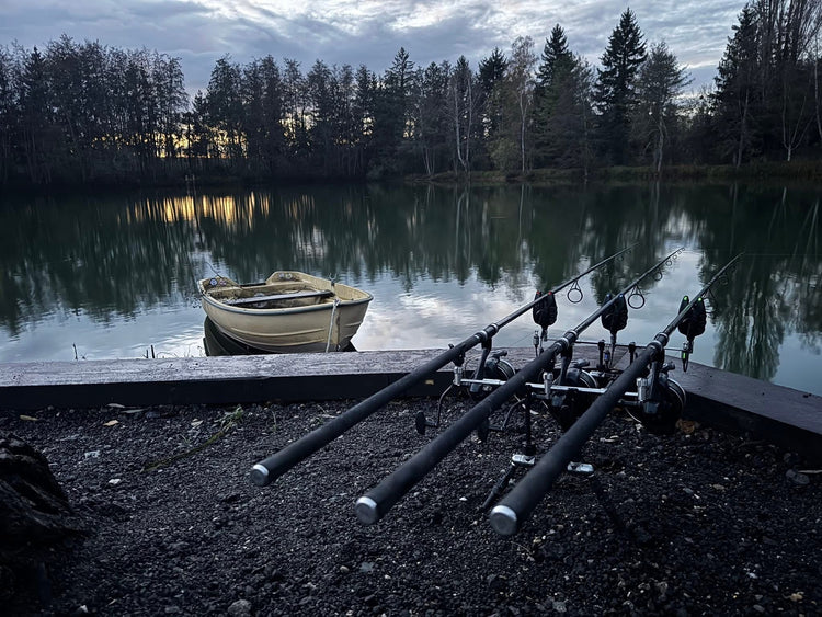 Nov 2025 Wallsmere Fishery, France
