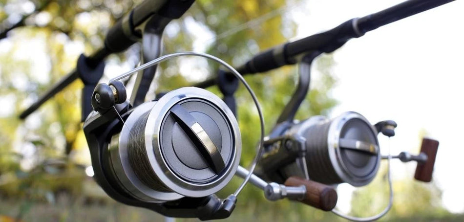 Reels