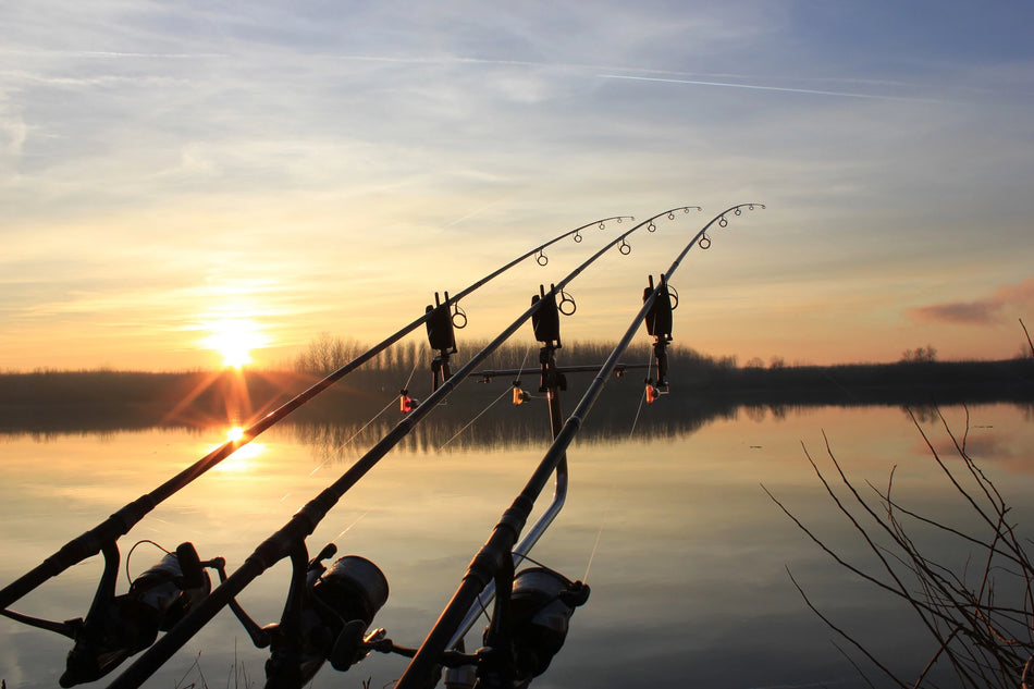 Rods