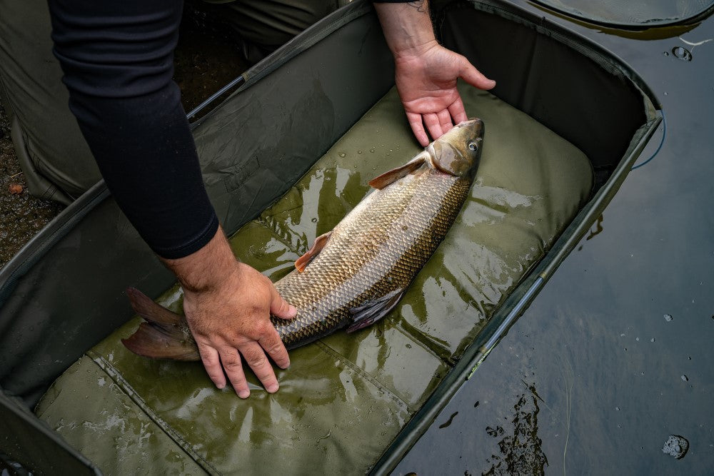 Coarse Mats, Slings & Scales