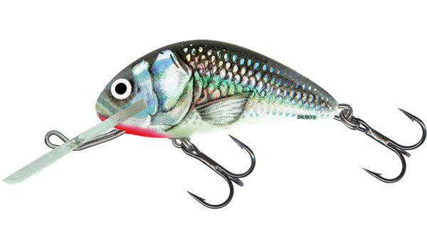 Salmo Sinking Hornet - Holographic Grey Shiner 5cm