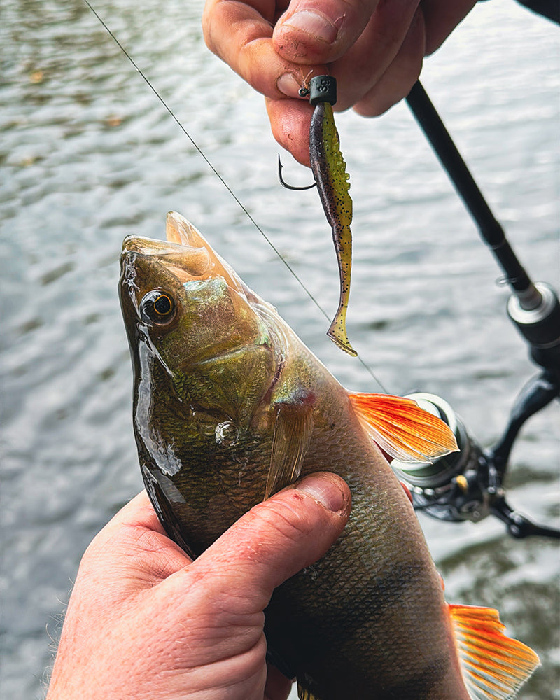 Fox Rage Micro Ned Heads Camo