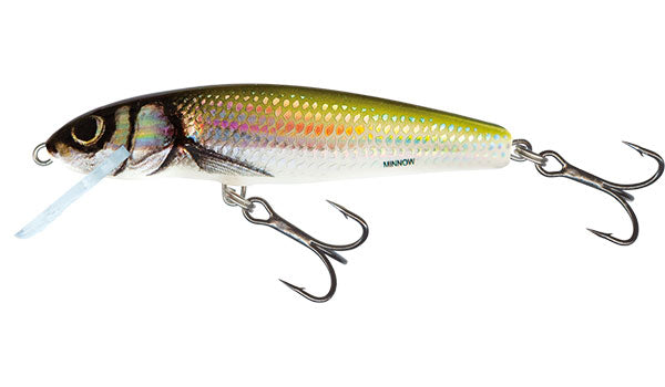 Salmo Floating Minnow Holo Bleak 5cm