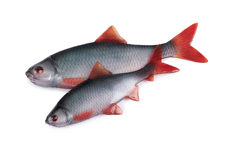 Fox Rage Ultra Naturals Roach Fillets